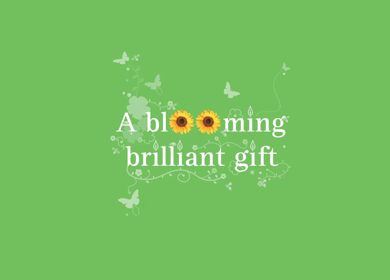 WHICH OPENER 1500 x 1080.jpg