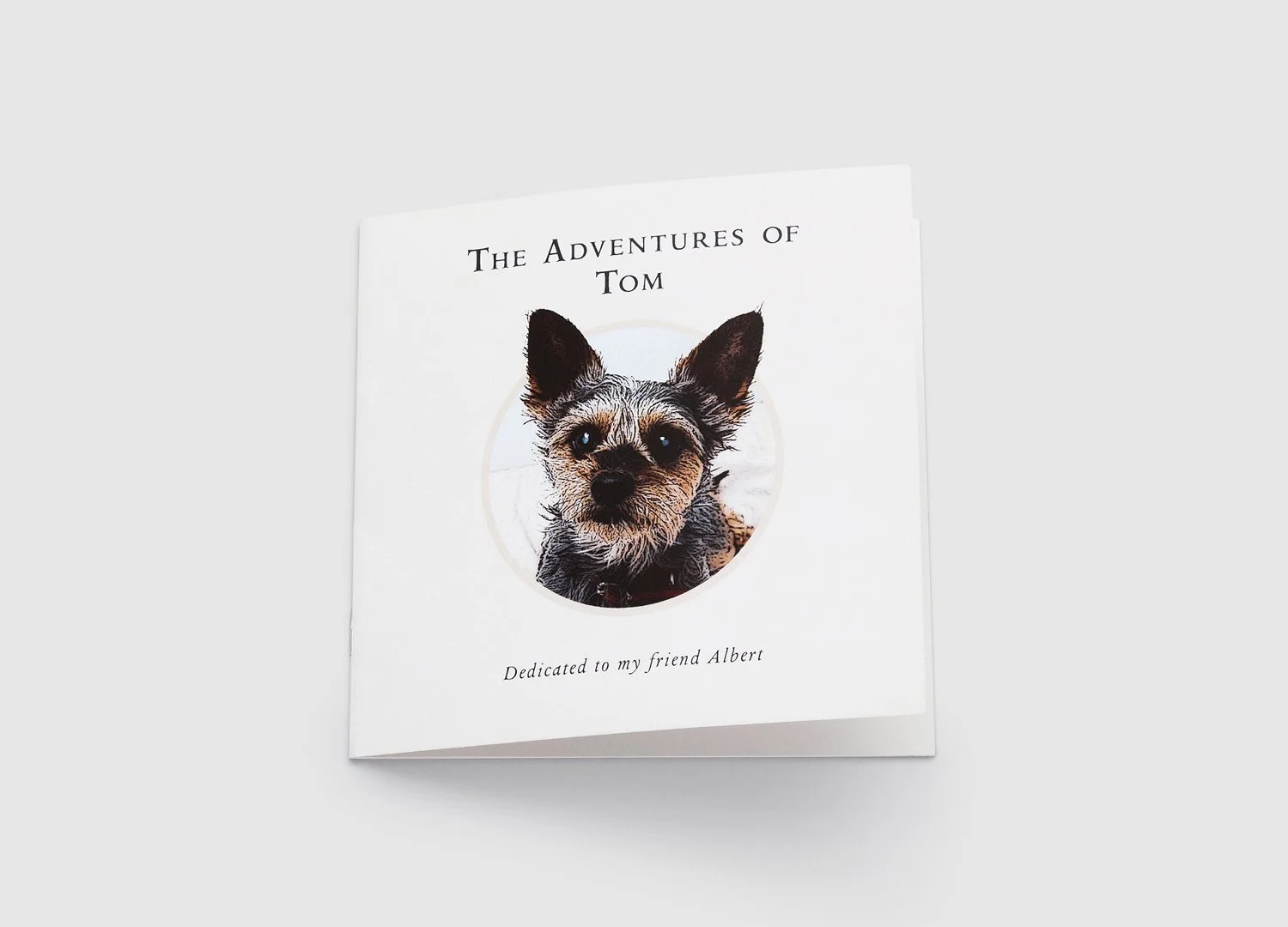   Pet Sponsorship – Insight  During the recession, the charity sector faced increasing pressure as supporters reconsidered their regular contributions. PDSA pet sponsors were no exception. We needed to remind them — in a genuine, heartfelt way — just