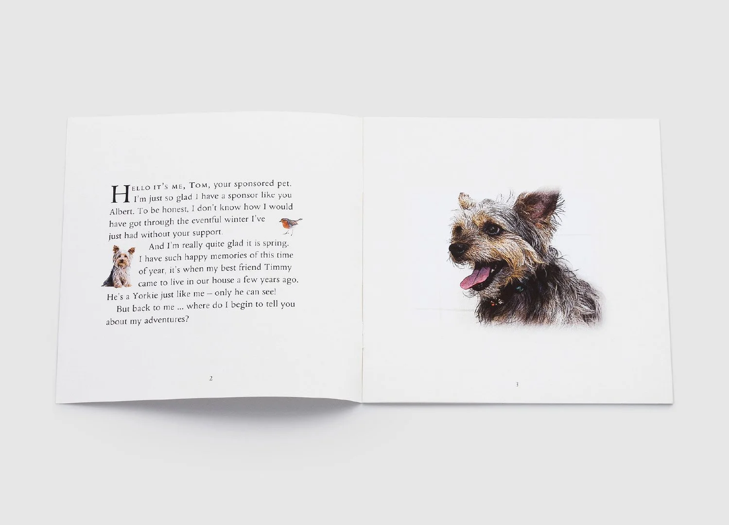  Pet Sponsorship – Idea  With no photography budget and no opportunity to capture new images, we created a personalised 16‑page stitched storybook:  The Adventures of… , bringing each sponsored pet to life. Written in the warm, nostalgic tone of the