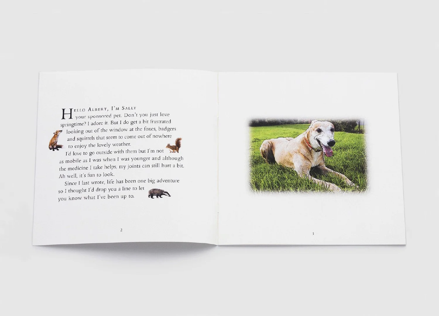 Adventures Sally 02.jpg