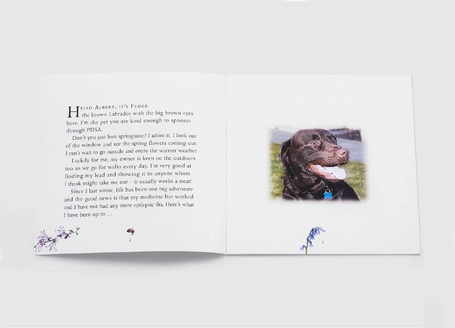 Adventures Fudge 02.jpg