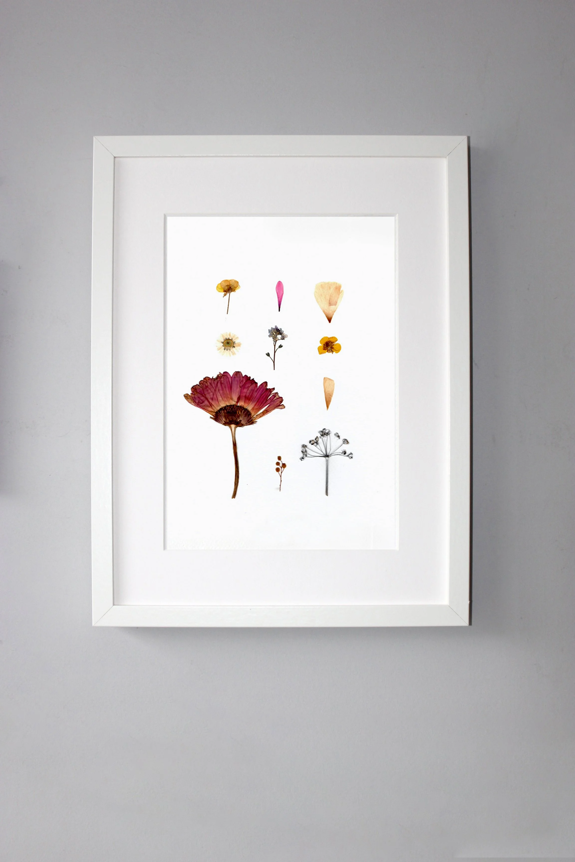 one framed art work made using pressed flowers hanging on a grey wall. Made by Flower Press Studios