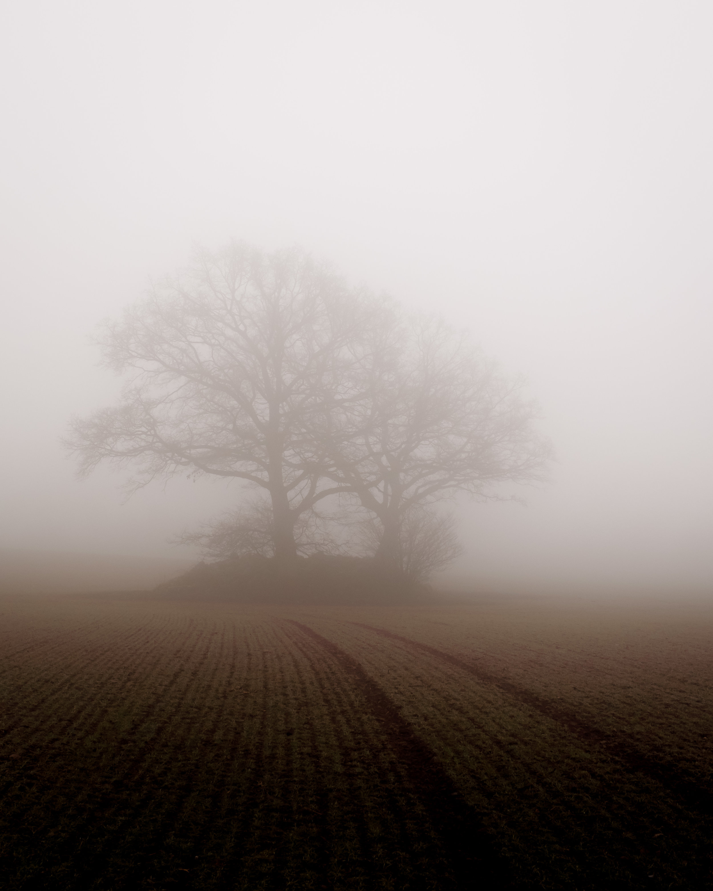 MISTY MORNING