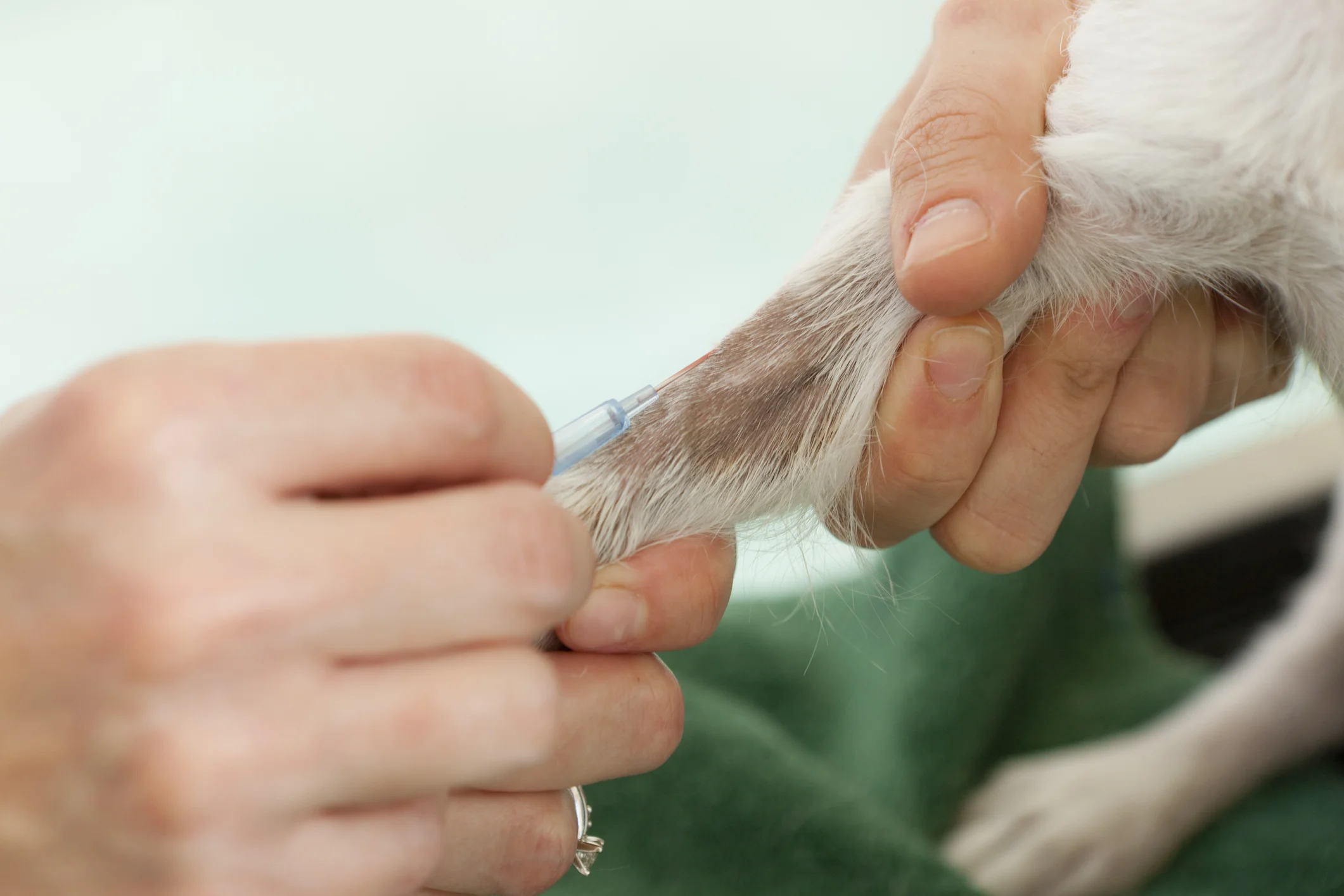 Photo by DenGuy/iStock / Getty Images