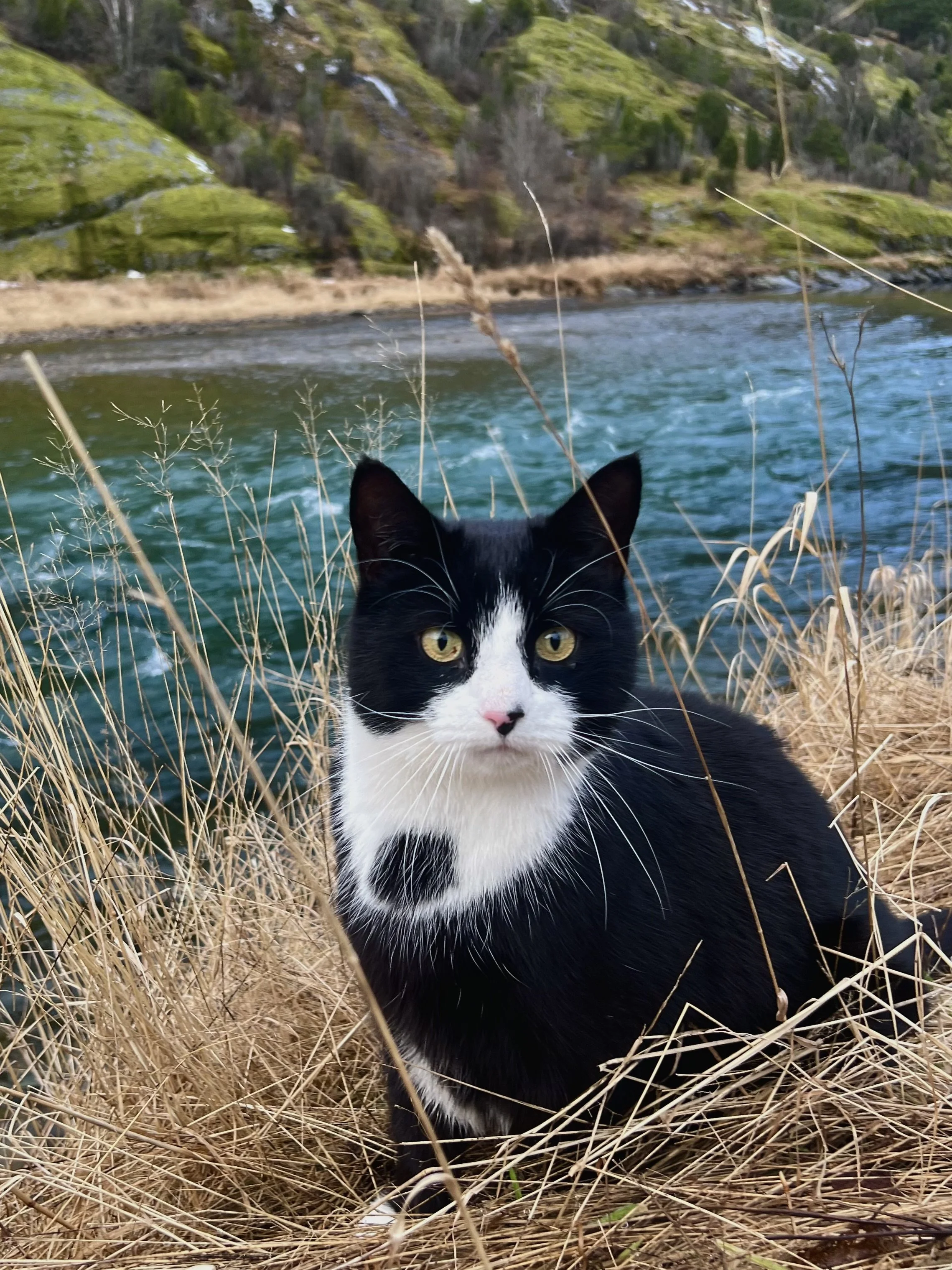 Månadens pasient - november 2025