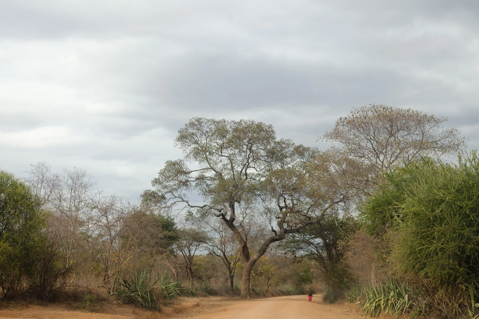 011-Editorial-Travel-Photography-LucyWilliamsPhotography.jpg