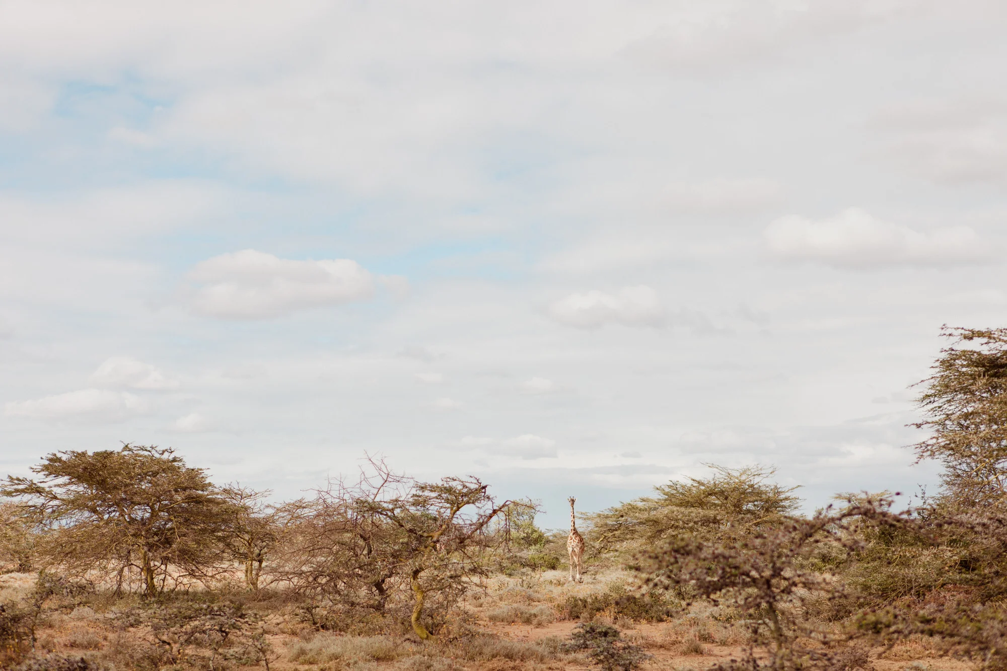 020-Editorial-Travel-Photography-LucyWilliamsPhotography.jpg