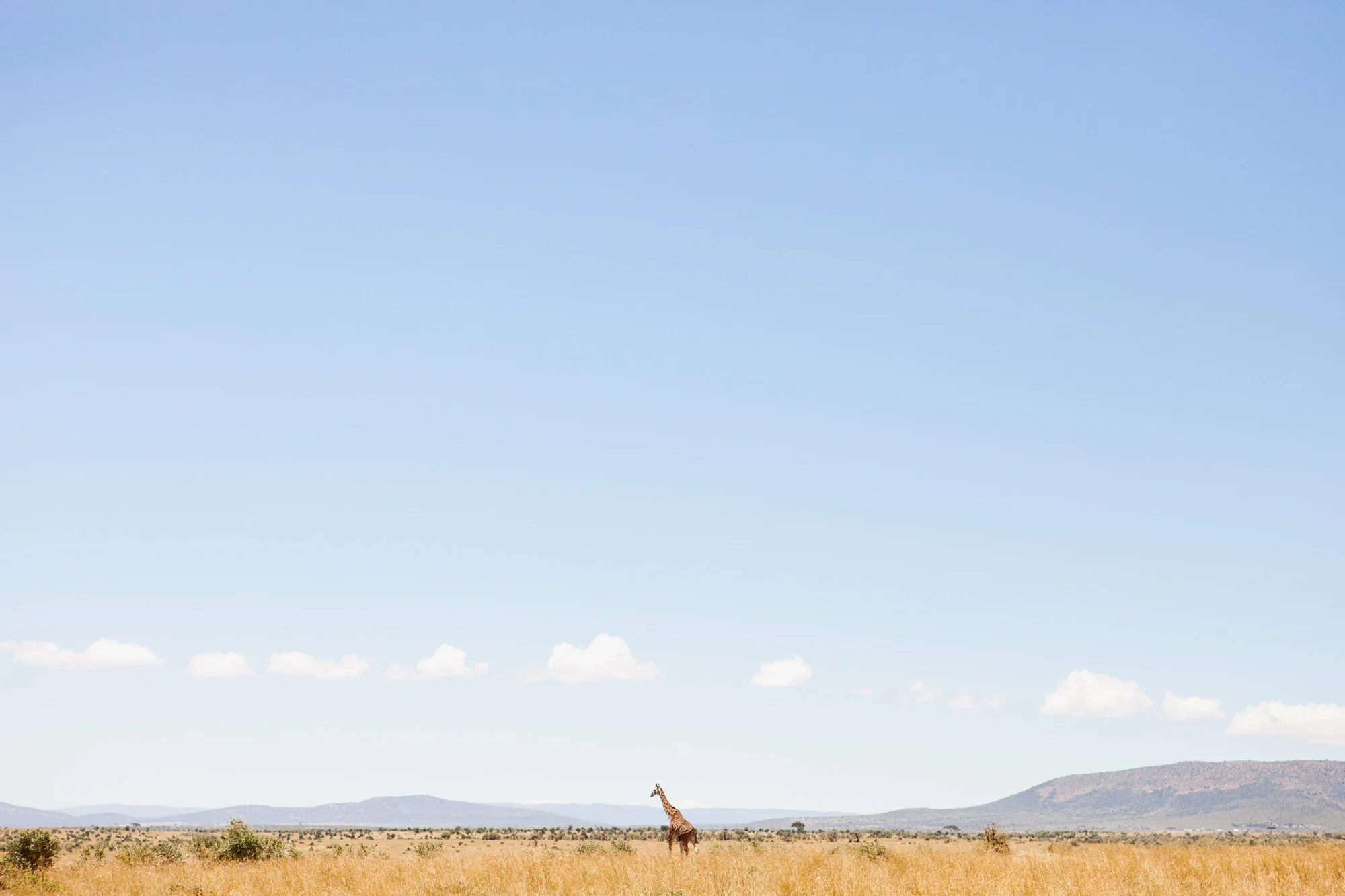 038-Editorial-Travel-Photography-LucyWilliamsPhotography.jpg