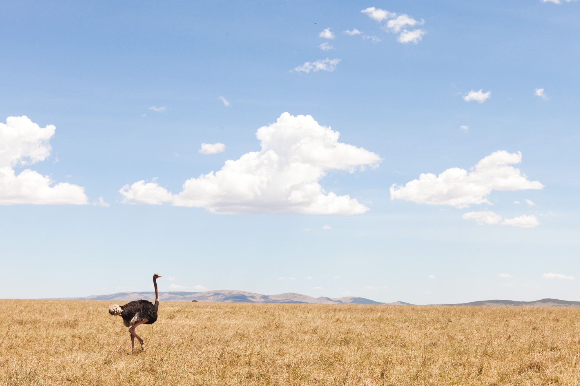 040-Editorial-Travel-Photography-LucyWilliamsPhotography.jpg