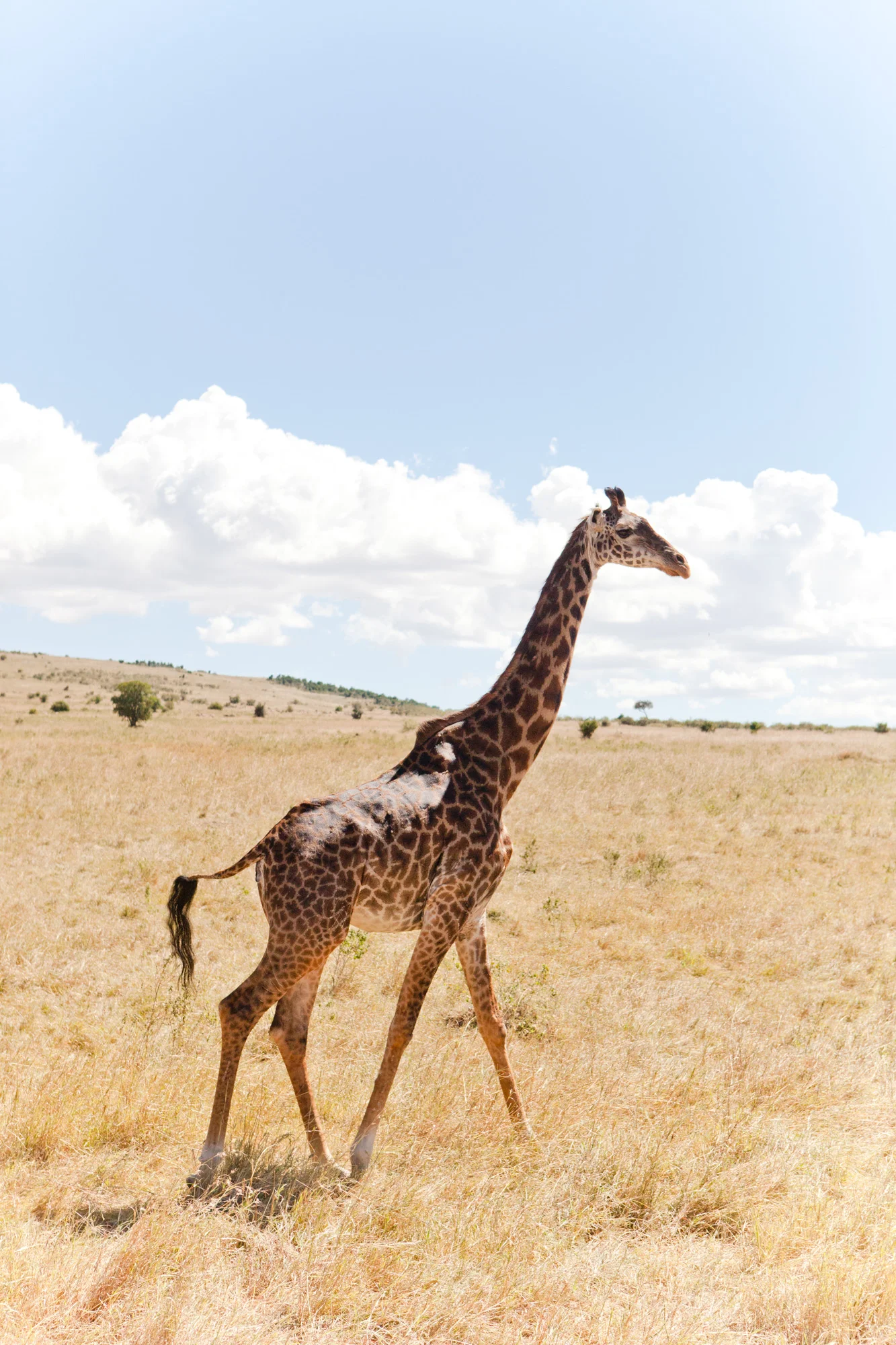 042-Editorial-Travel-Photography-LucyWilliamsPhotography.jpg
