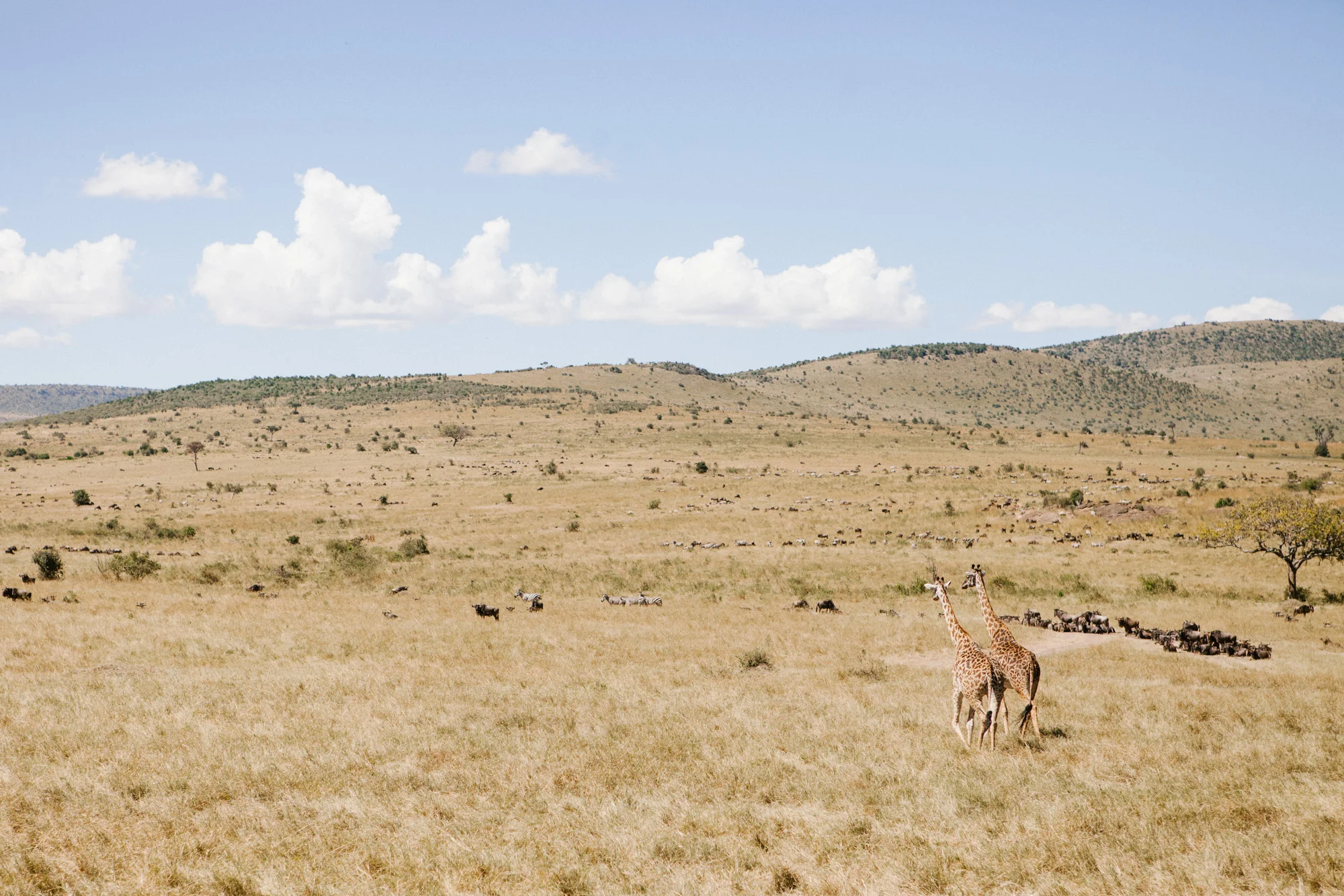 043-Editorial-Travel-Photography-LucyWilliamsPhotography.jpg