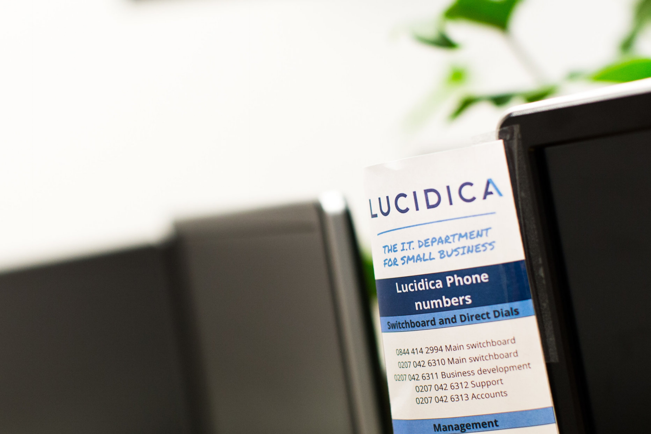LUCIDICA-office-4390.jpg
