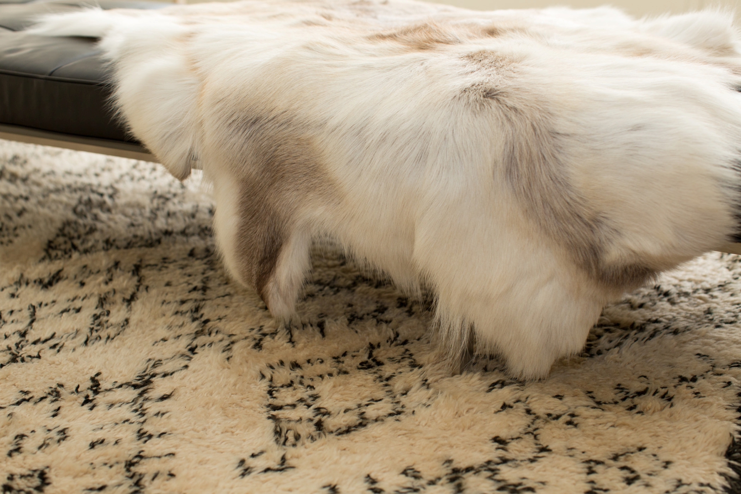 072-AndreaBreuerWeil-Interiors-6614_Interior-Photography-LucyWilliamsPhotography.jpg