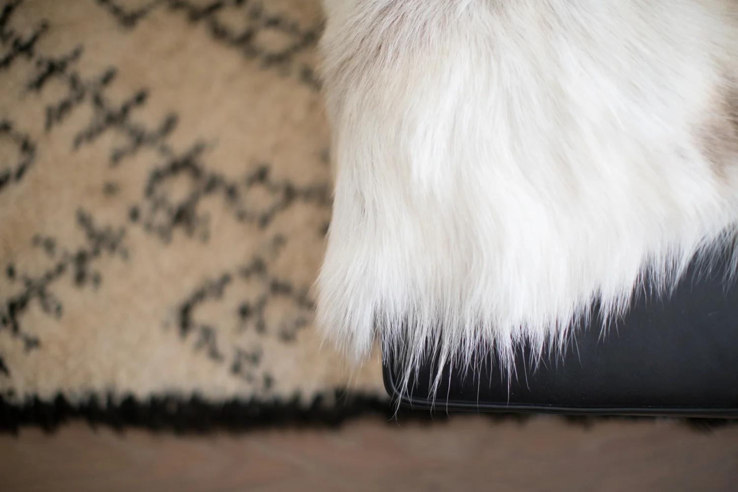 073-AndreaBreuerWeil-Interiors-6577_Interior-Photography-LucyWilliamsPhotography.jpg