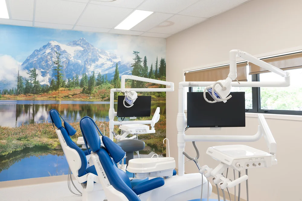Kowhai Dental new dental clinic grand opening