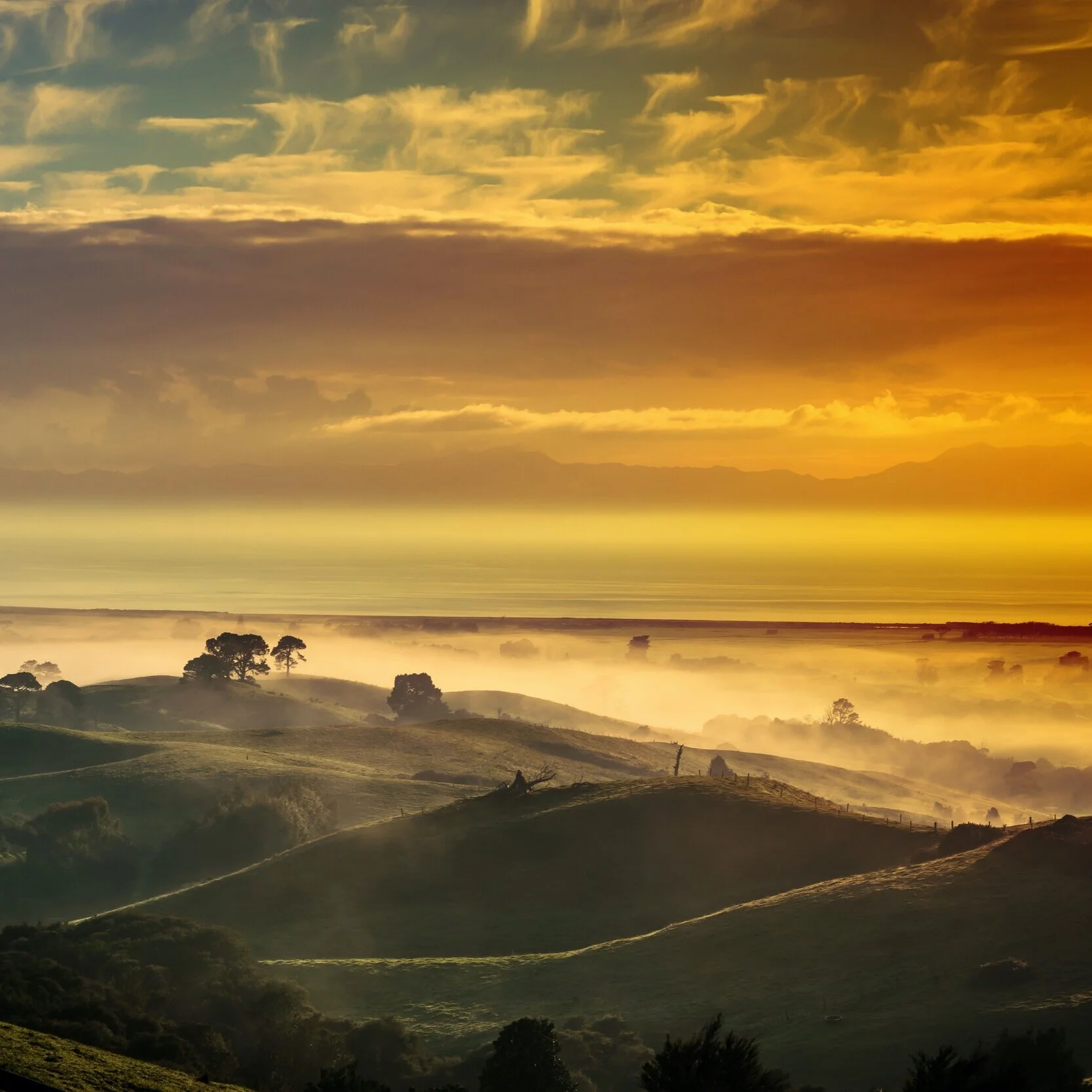 Health Press Release