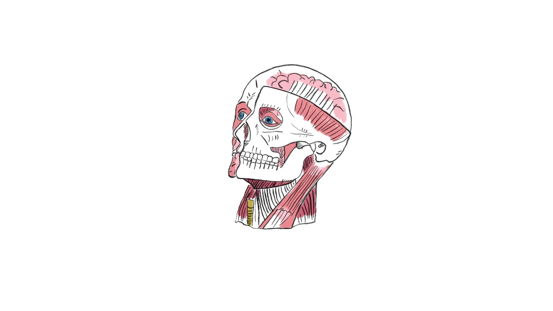 Untitled_Artwork 103.jpg