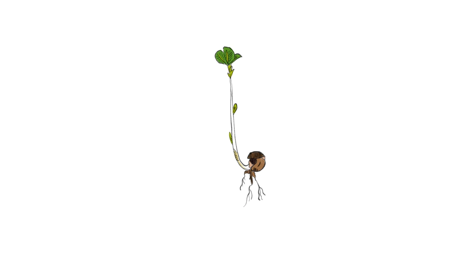 Untitled_Artwork 105.jpg