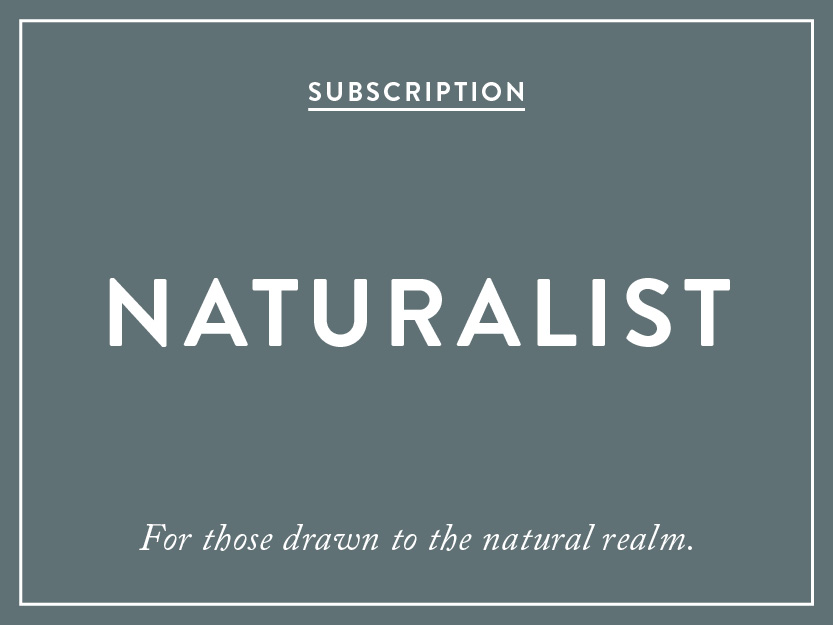 r1-Subscription-Naturalist.jpg