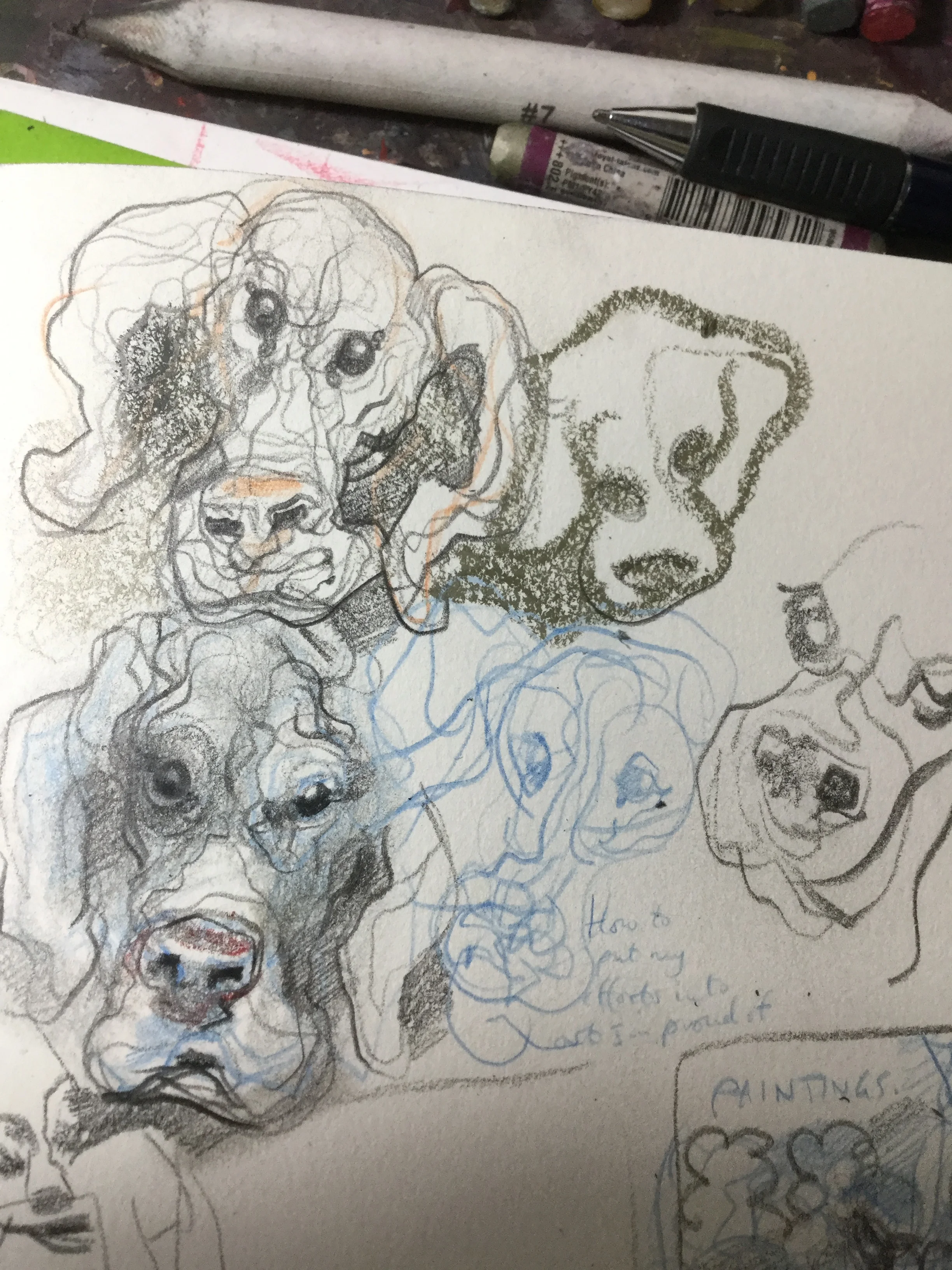 Dog heads