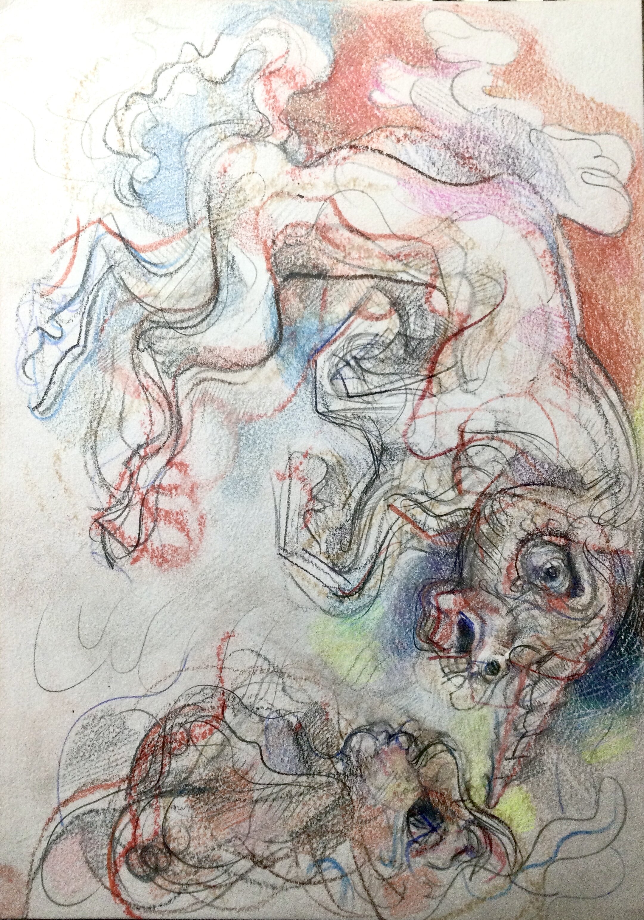 2F833336-86E4-411C-965E-86AF57599597.jpeg