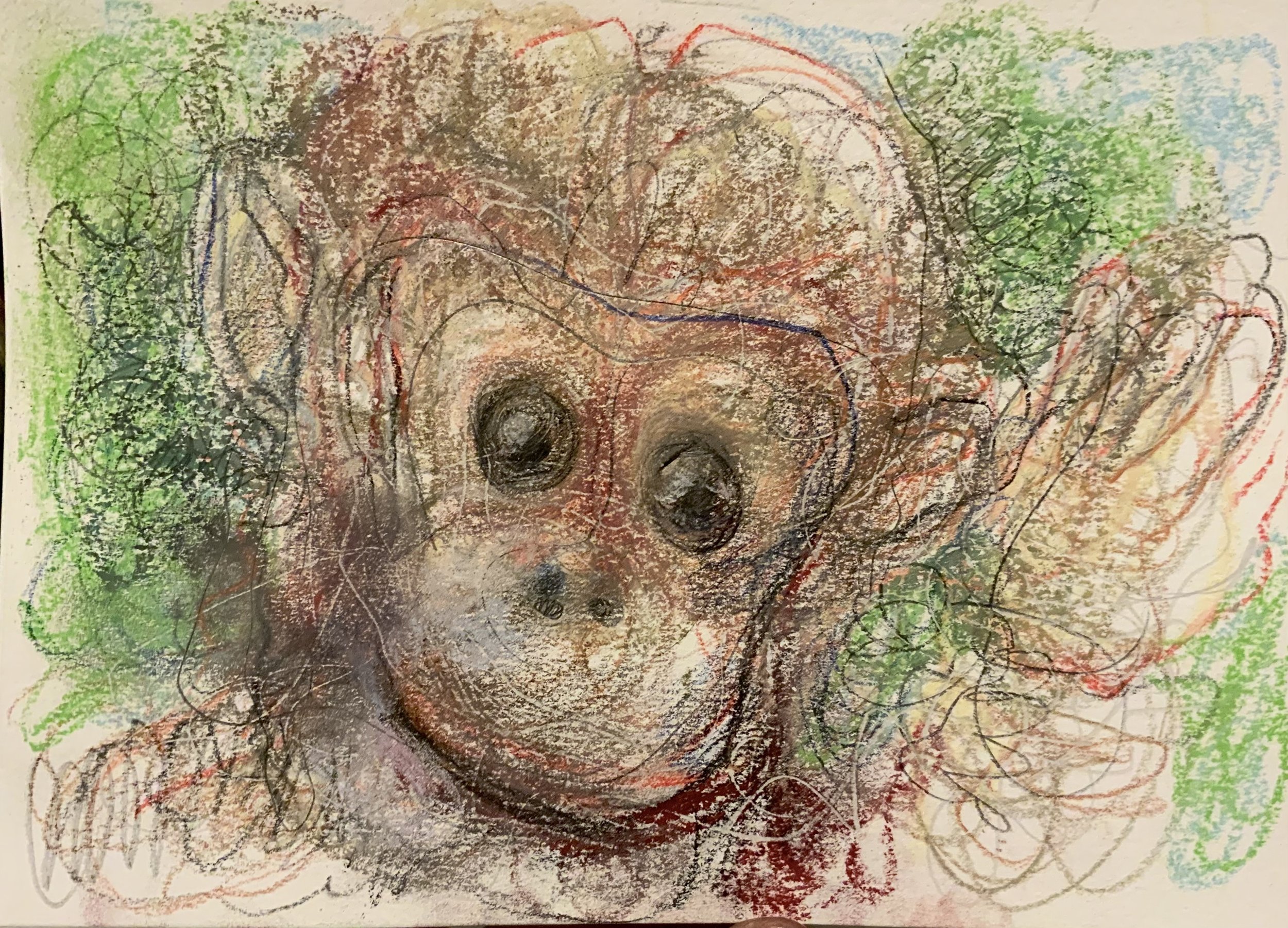 05B76E41-E4D2-4BEA-8B4F-B906B96F0810.jpeg