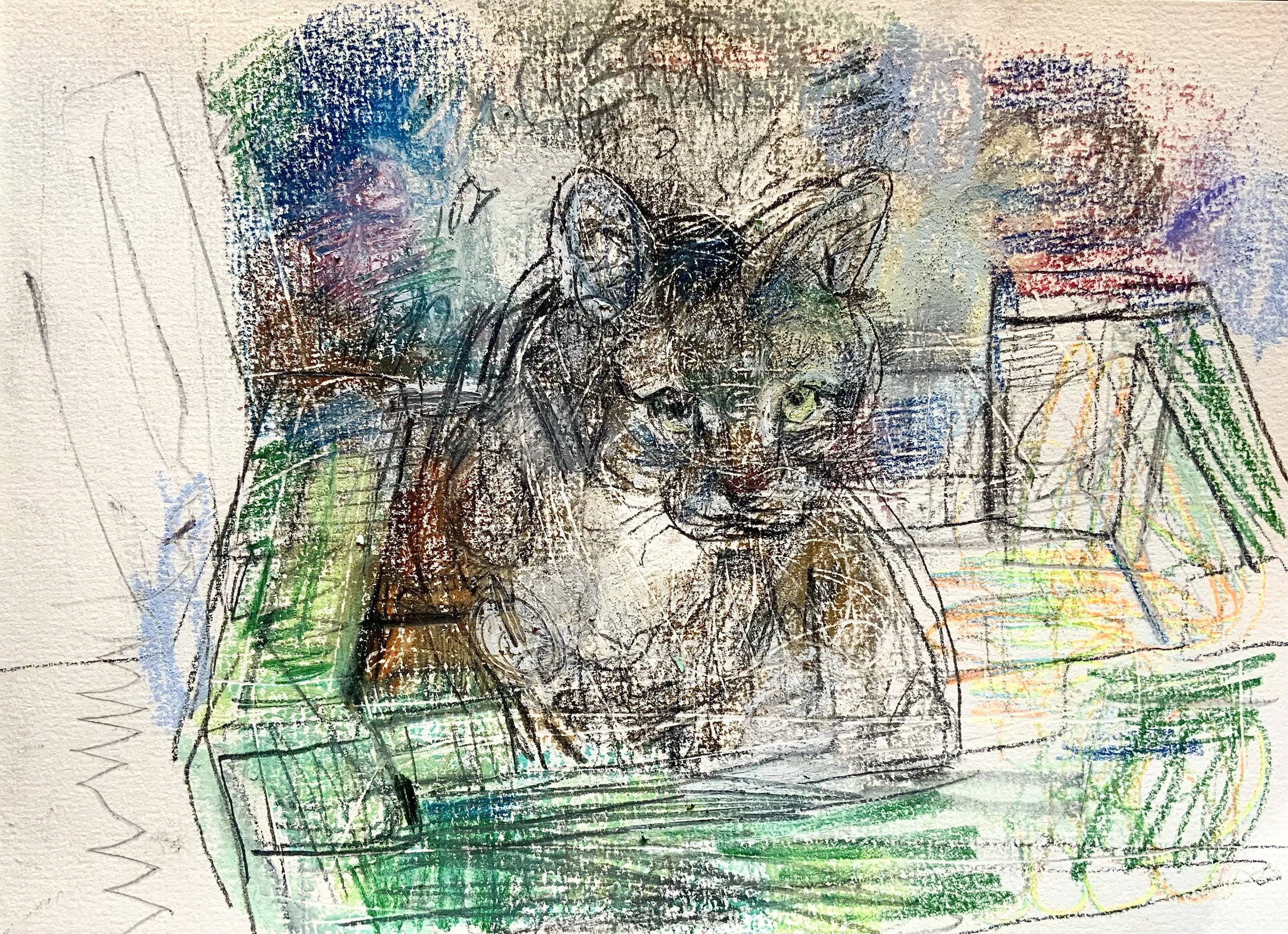 451CC6E6-9797-4DDB-B488-11A1885BA85E.jpeg