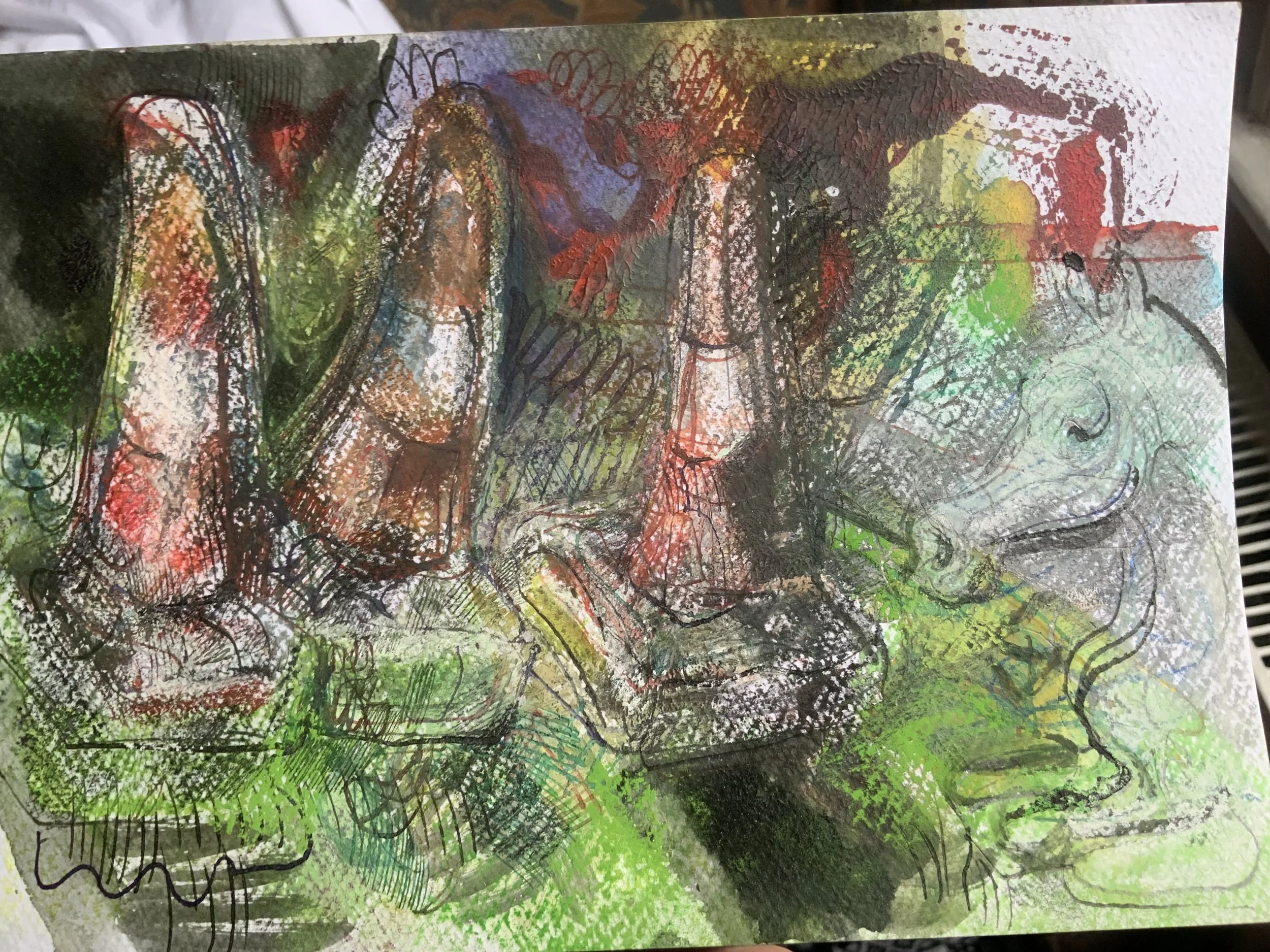 IMG_2354.jpeg