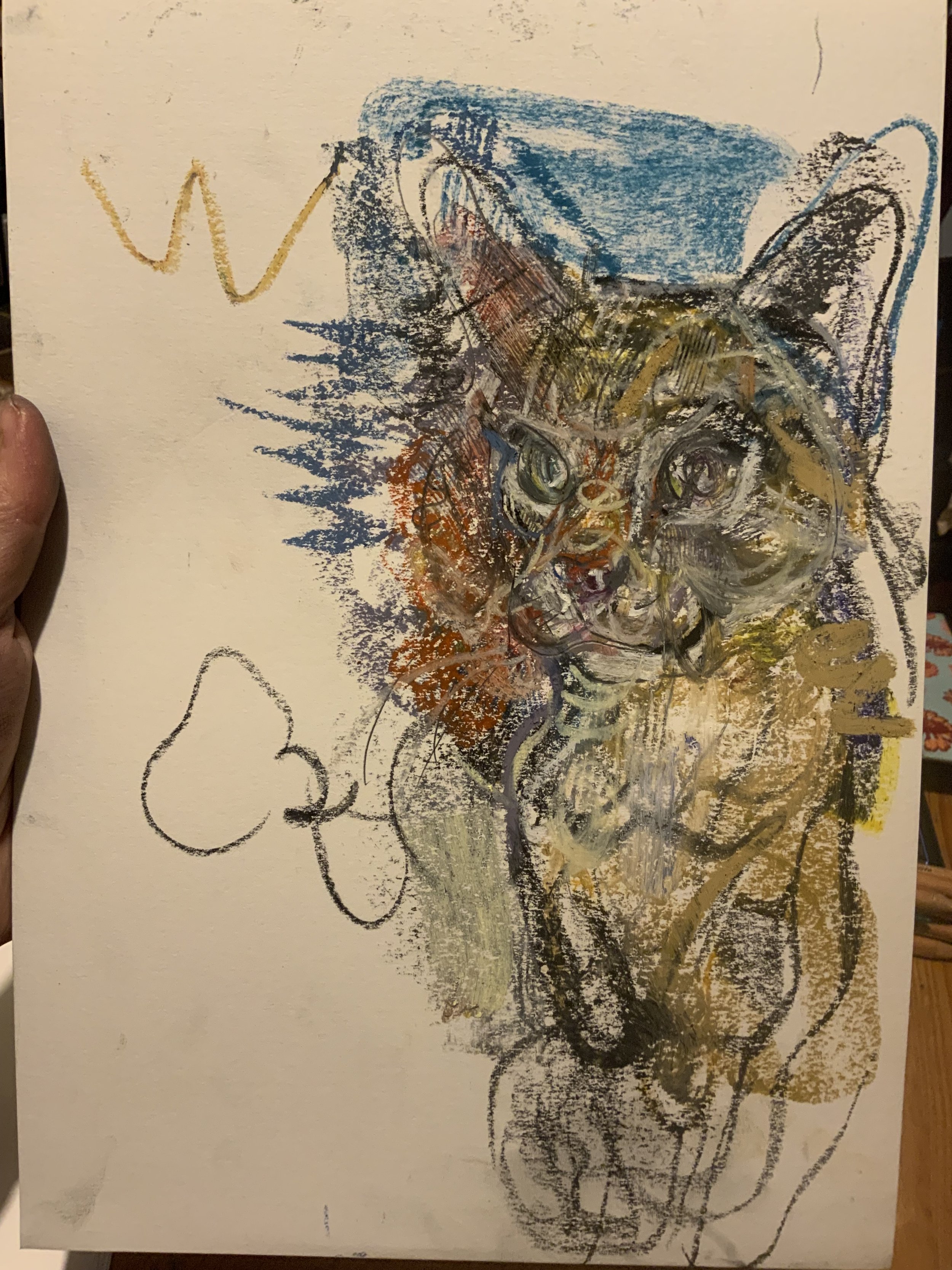 IMG_9409.jpeg