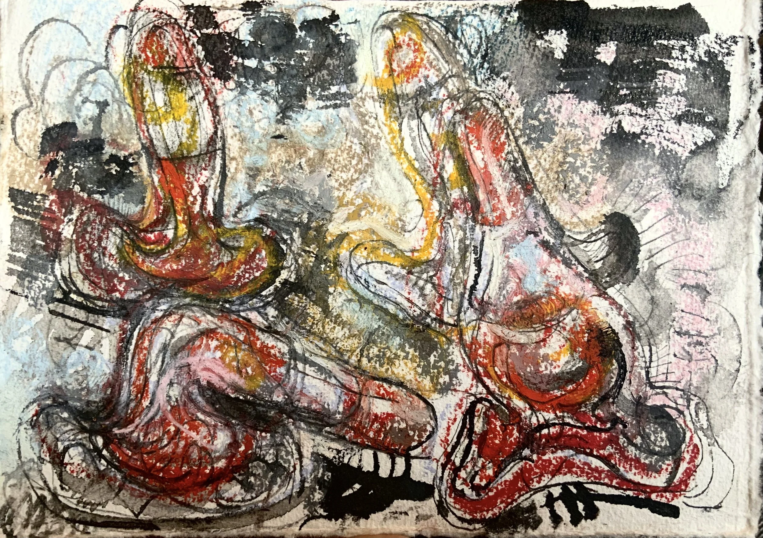 IMG_8088.jpeg