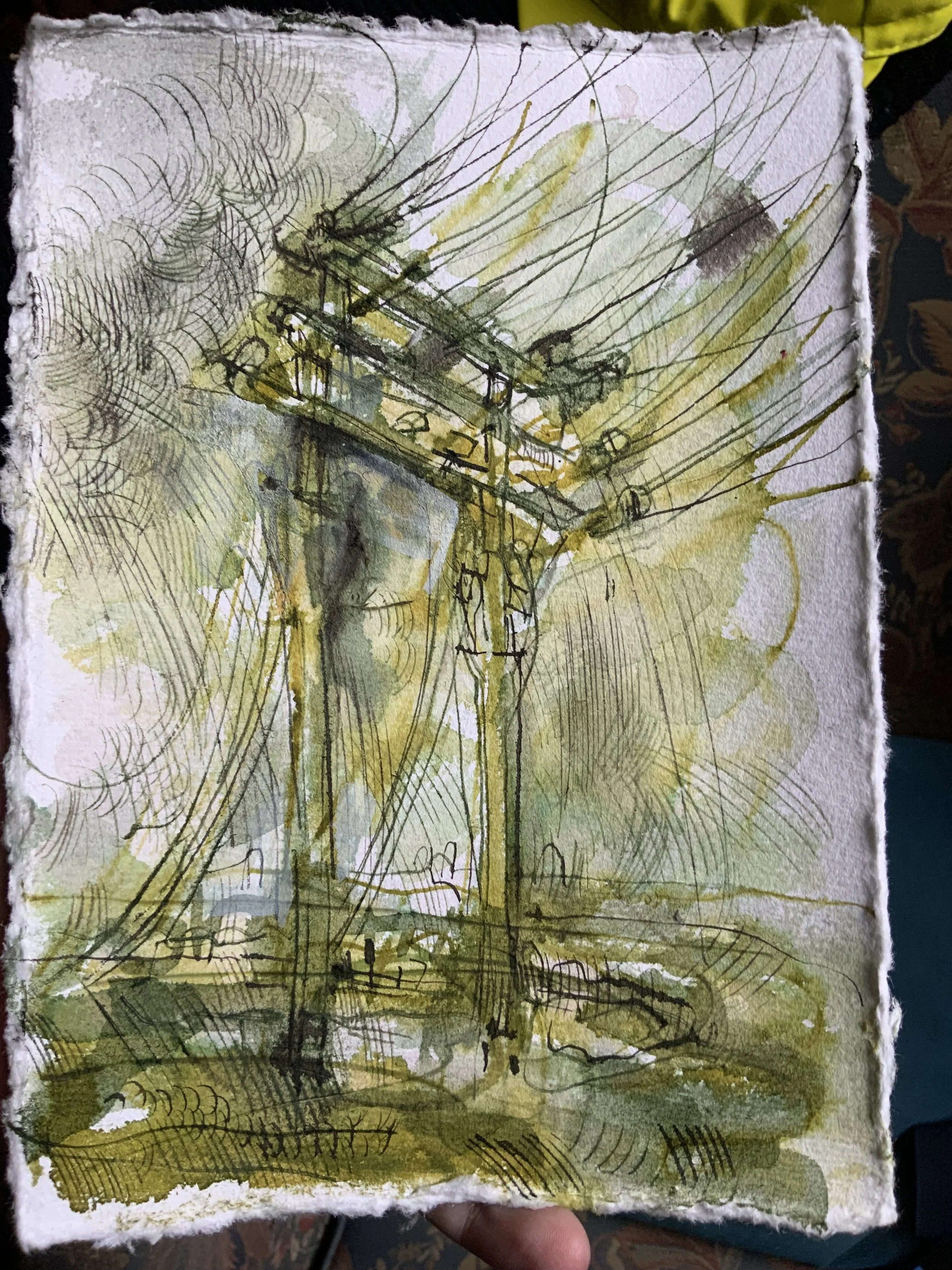 IMG_7518.jpeg