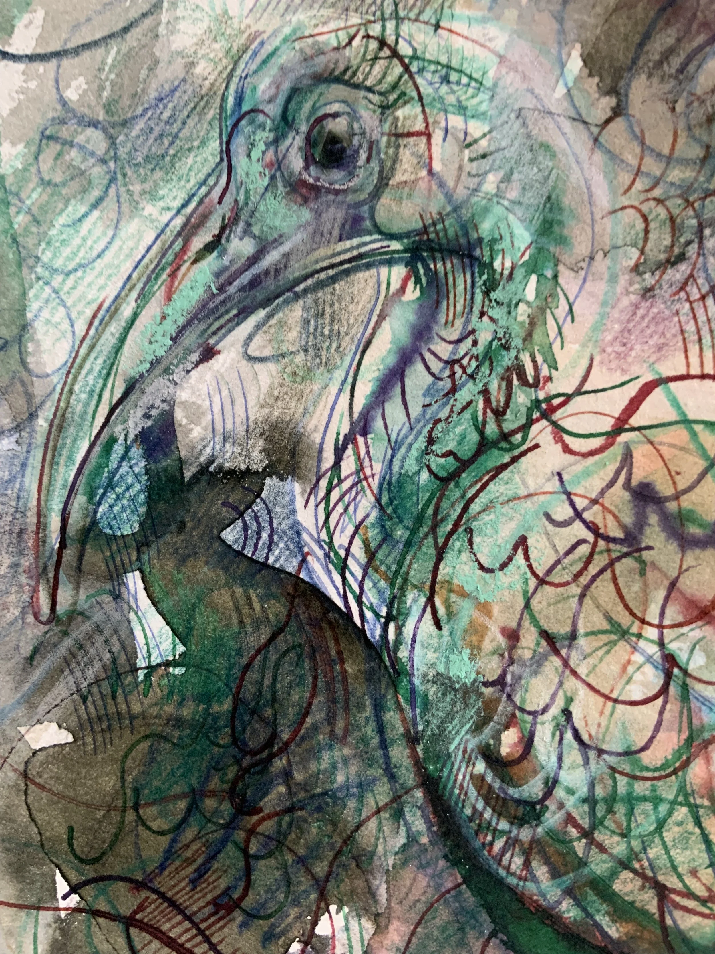 IMG_4811.jpeg