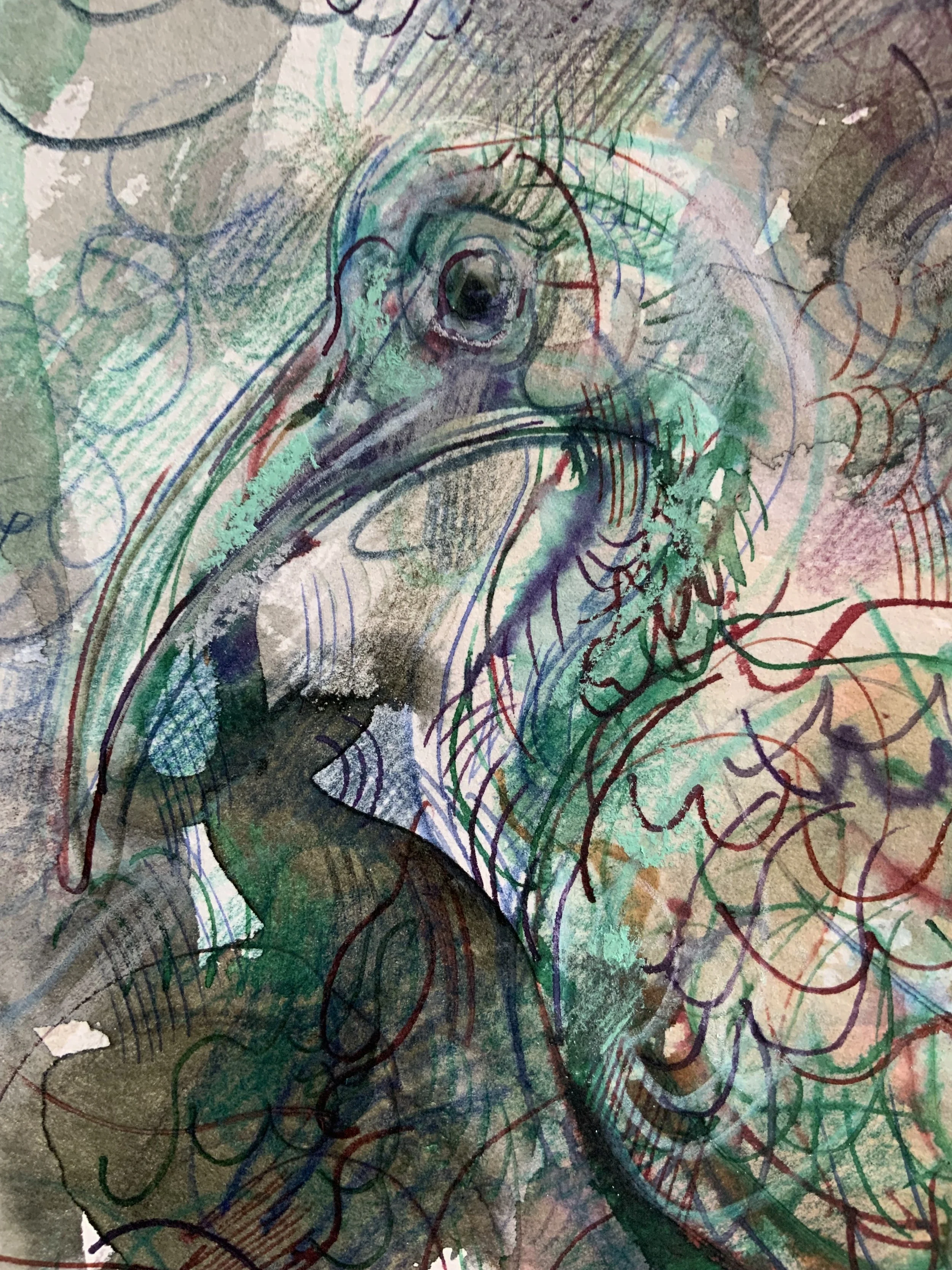 IMG_4809.jpeg