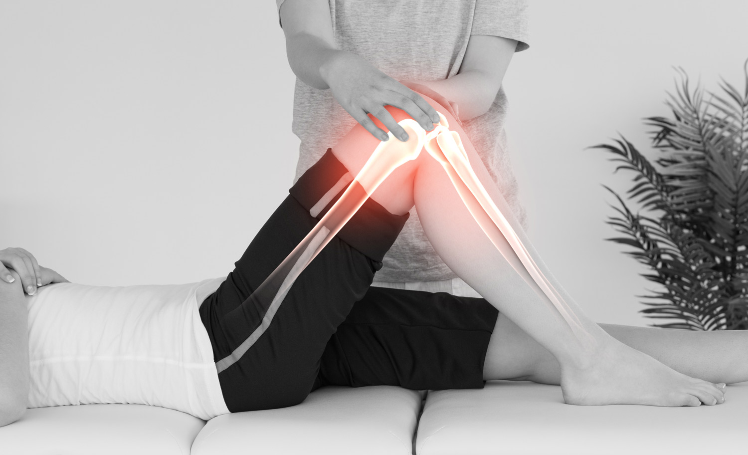 1500_JOINTCARE_Knee_shutterstock_270883145.jpg