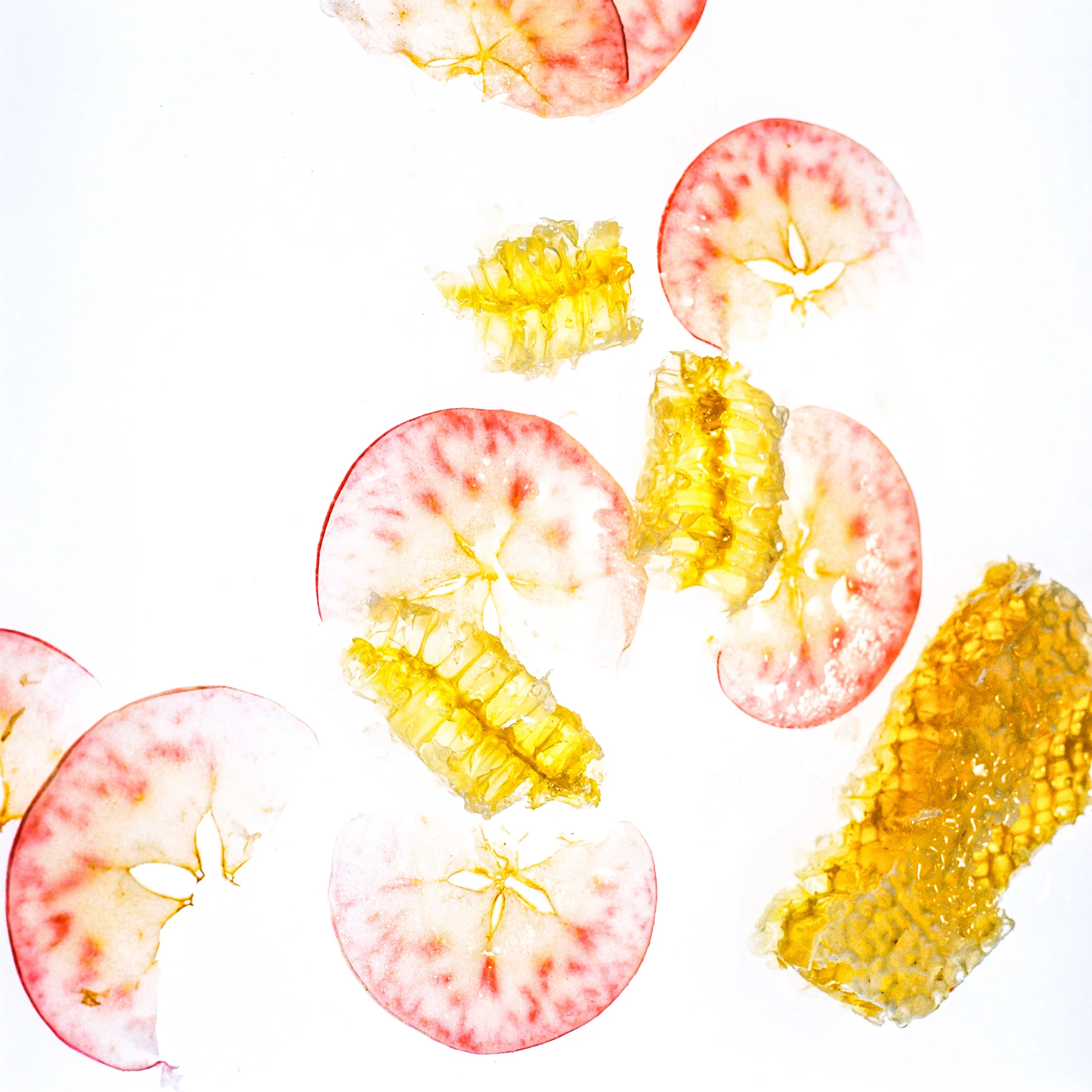 apple & honey-002.jpg