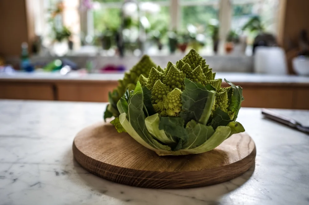 romanesco-001.jpg