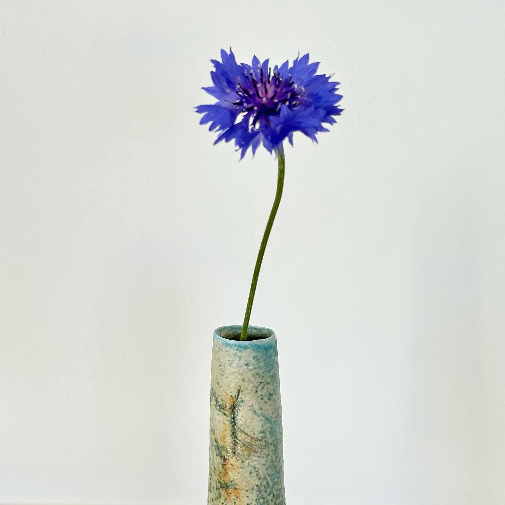 JDP769 Doherty Porcelain Summer Bud Vase III-2.jpg