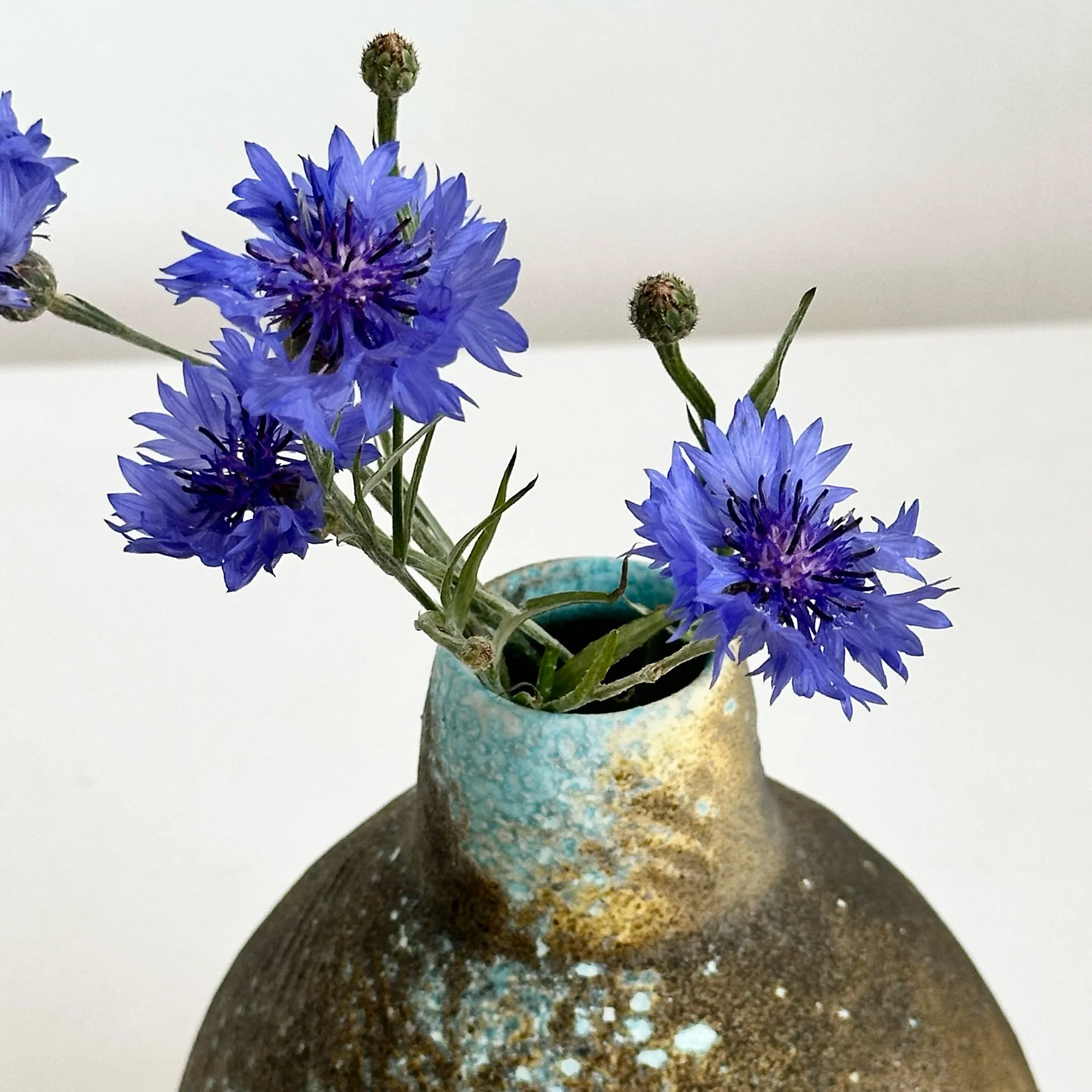 JDP898 Doherty Porcelain Round Bottle II-detail.jpg
