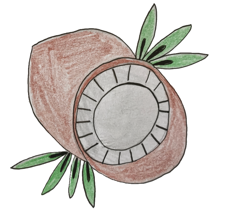 coconuts.png