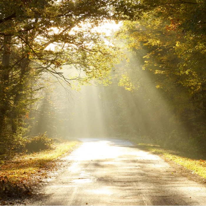 But if we walk in the light, as he is in the light, we have fellowship with one another, and the blood of Jesus his Son cleanses us from all sin. 1 John 1:7