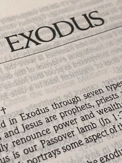 Exodus page.jpg