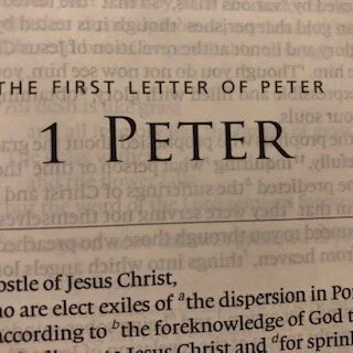 But you are a chosen race, a royal priesthood, a holy nation, a people for his own possession, that you may proclaim the excellencies of him who called you out of darkness into his marvelous light. - 1 Peter 2:9