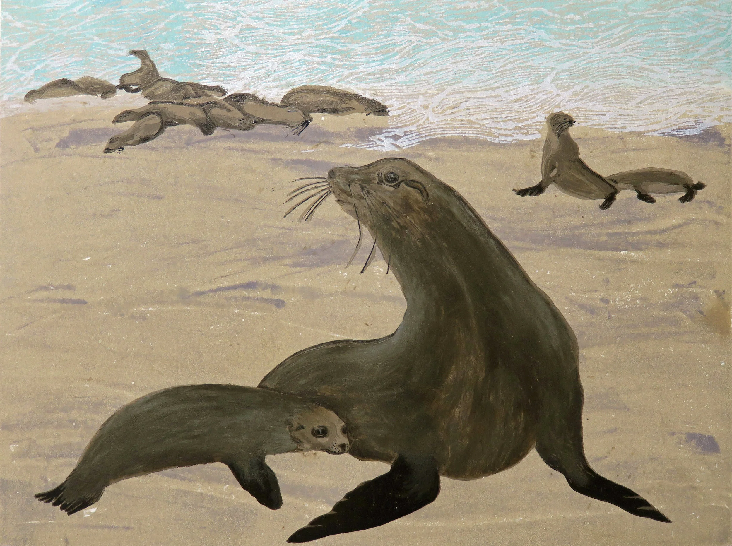 GALAPAGOS SEA LIONS