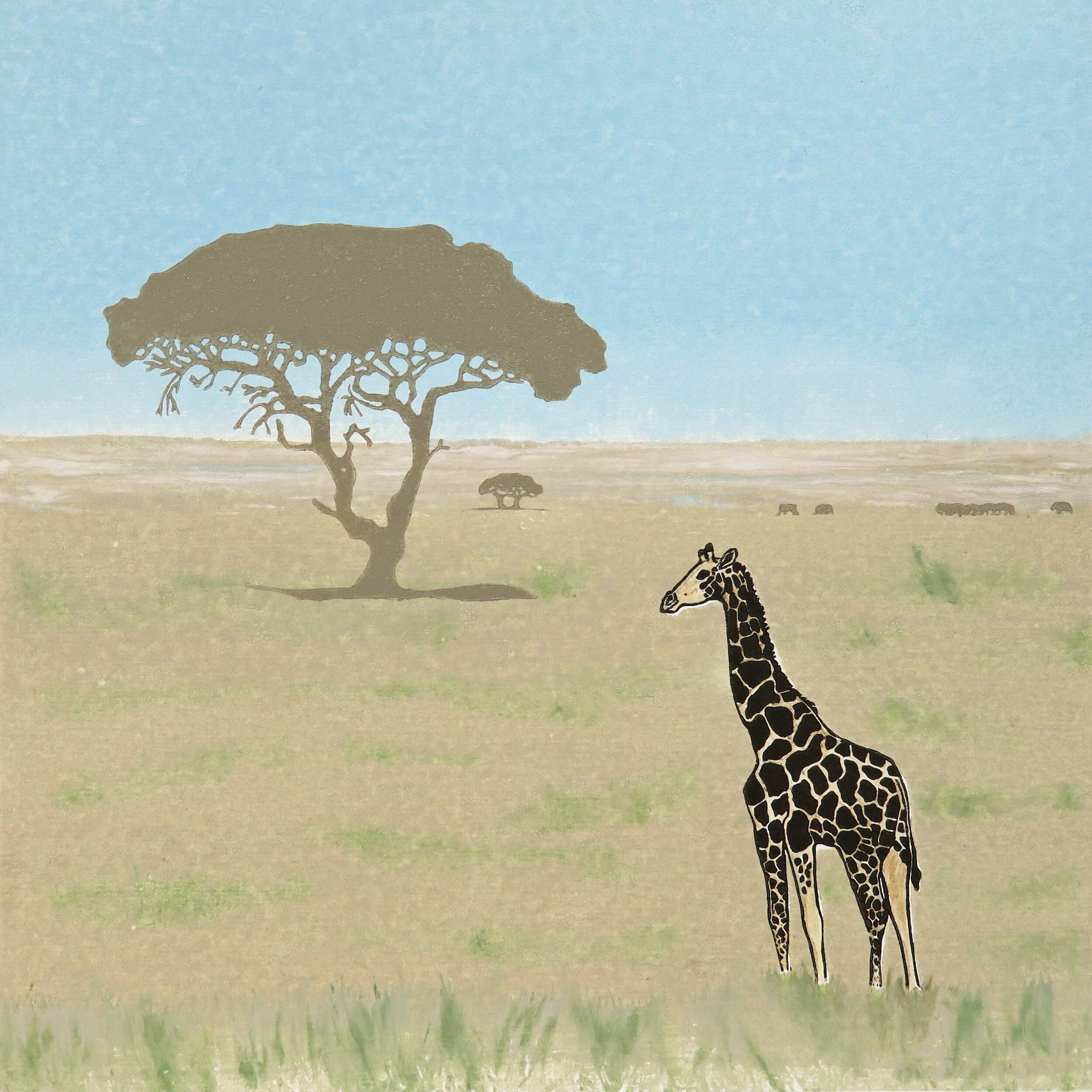 Namibian Giraffe.JPG