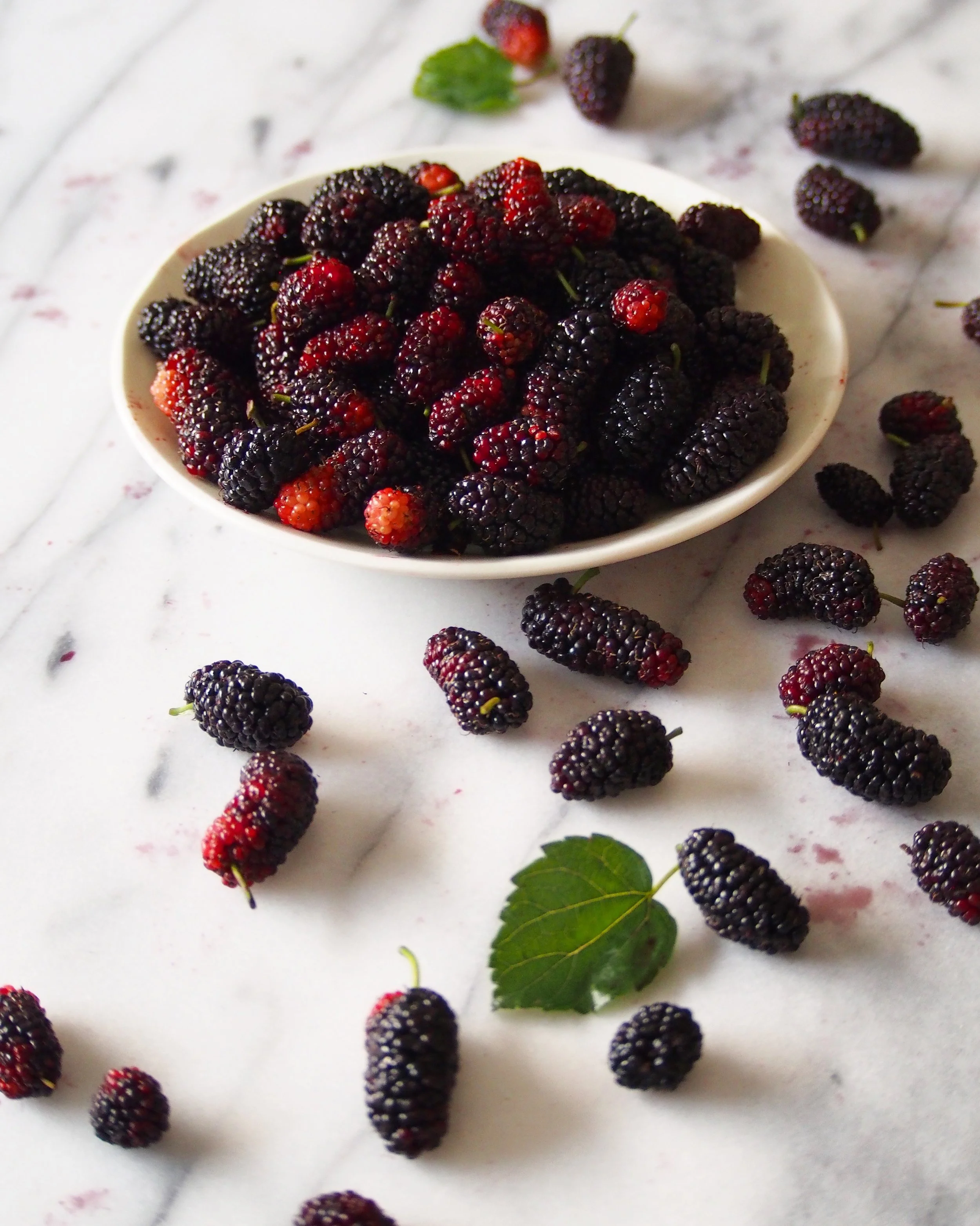 Mulberry syrup recipe