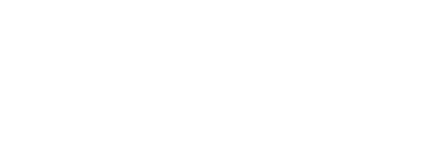 Geek Vintique