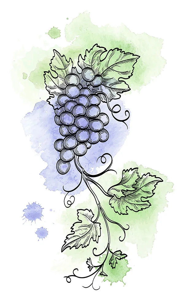 grapes.jpg