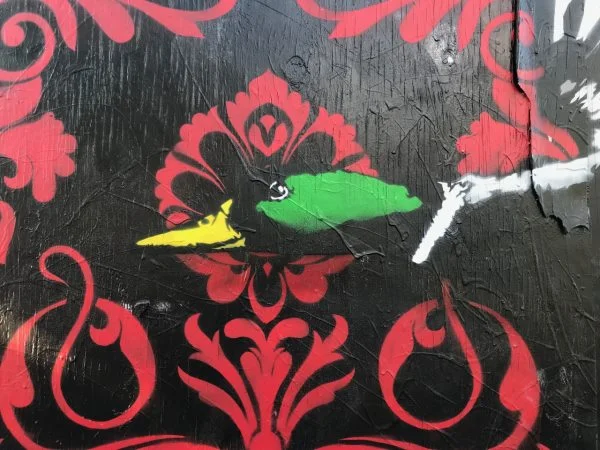 one duck 600.jpg