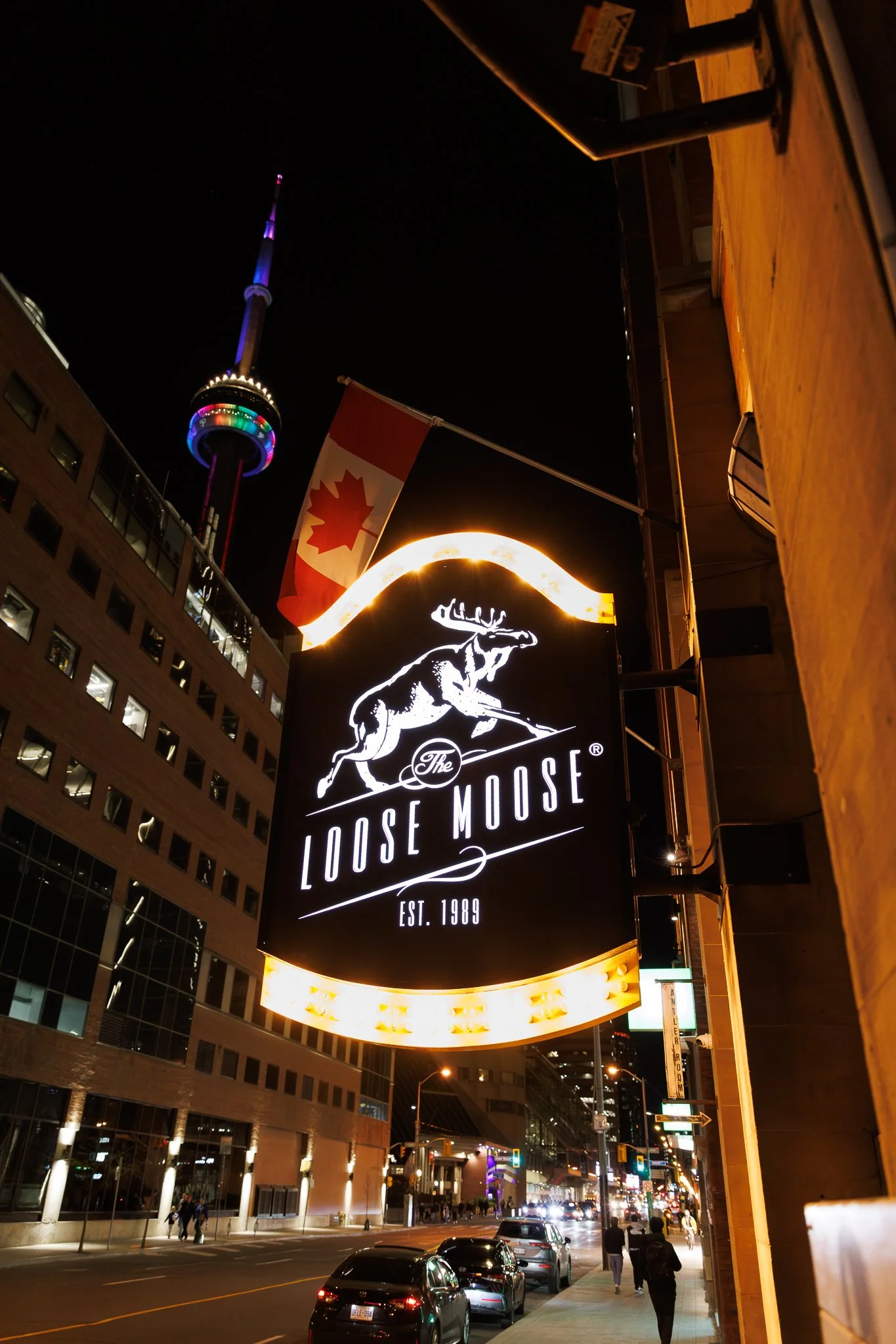 Midas_Network_MichaelRobsonPhotography_LooseMoose_2026.05.11-5110.jpg