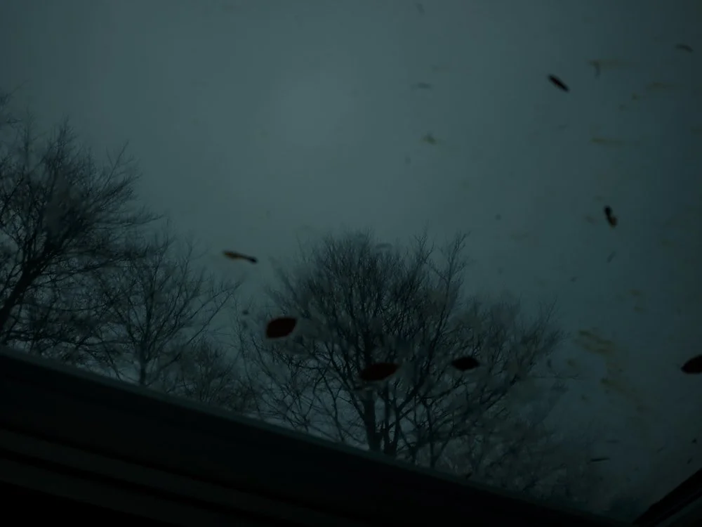 What I Saw When There Was Nothing to See